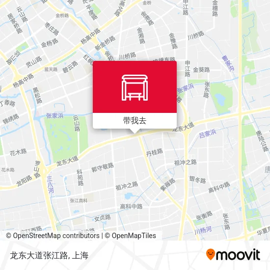 龙东大道张江路地图