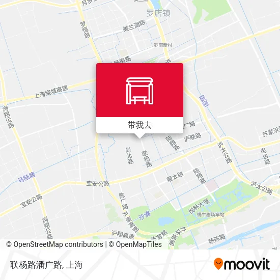 联杨路潘广路地图