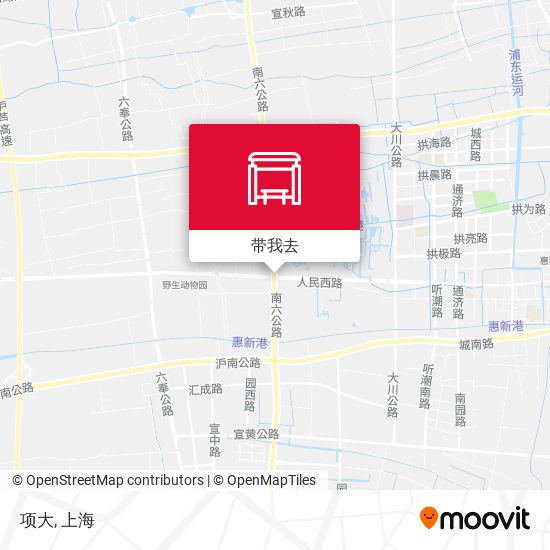 项大地图