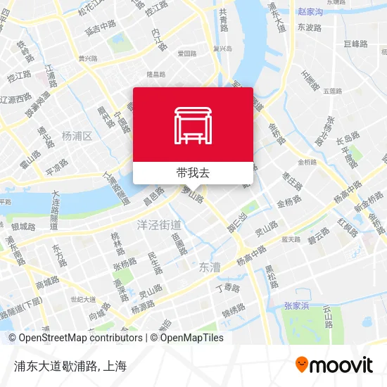 浦东大道歇浦路地图