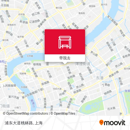 浦东大道桃林路地图