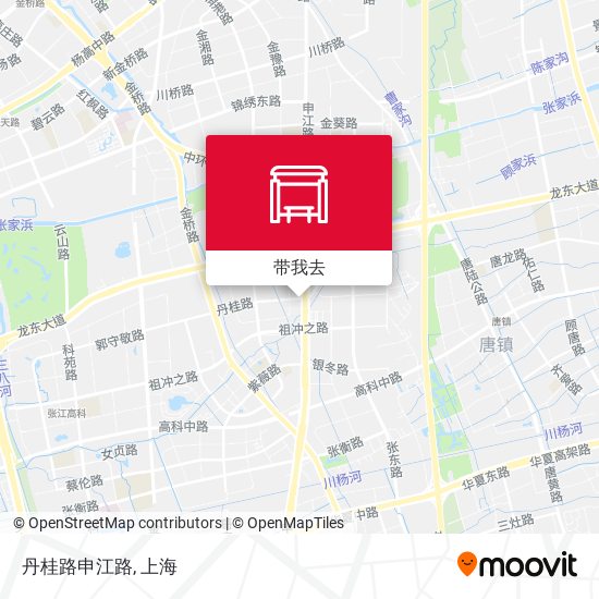 丹桂路申江路地图