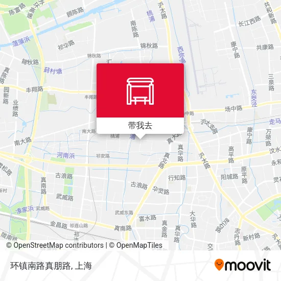 环镇南路真朋路地图