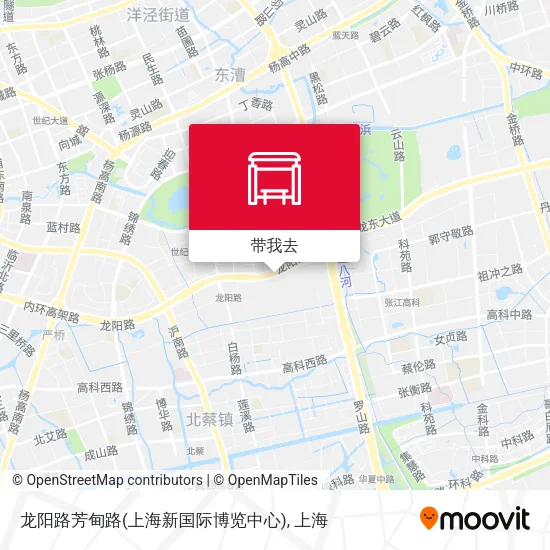 龙阳路芳甸路(上海新国际博览中心)地图