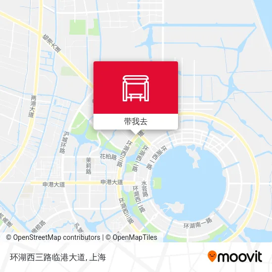 环湖西三路临港大道地图