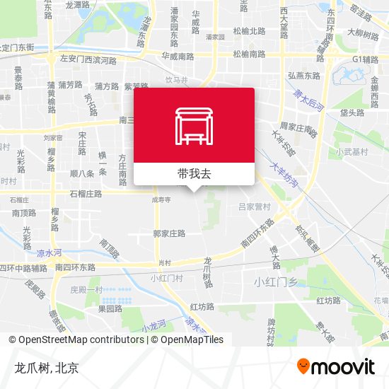 龙爪树地图