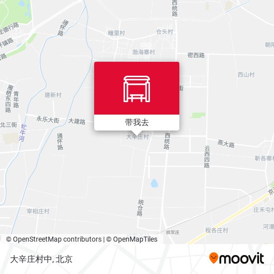 大辛庄村中地图