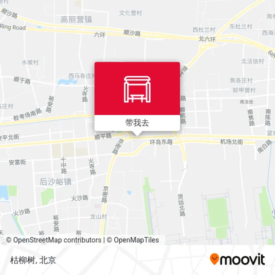 枯柳树地图