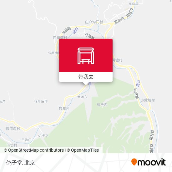 鸽子堂地图