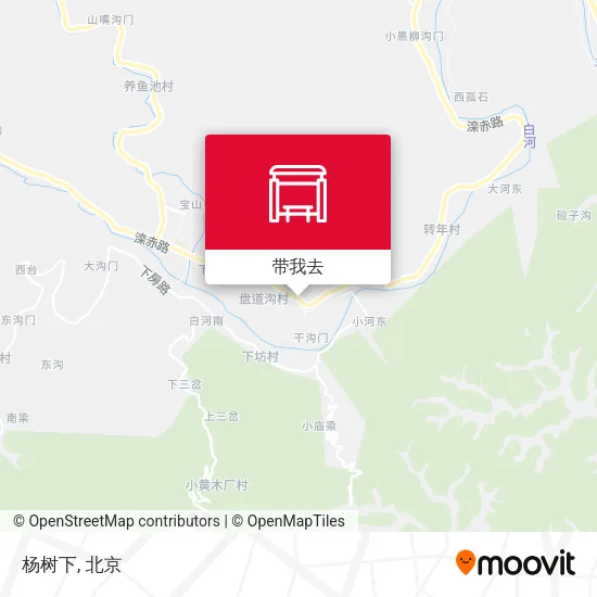 杨树下地图