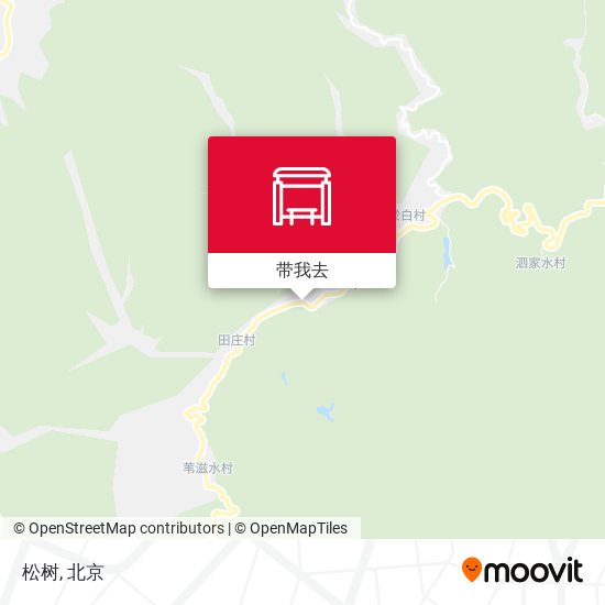 松树地图
