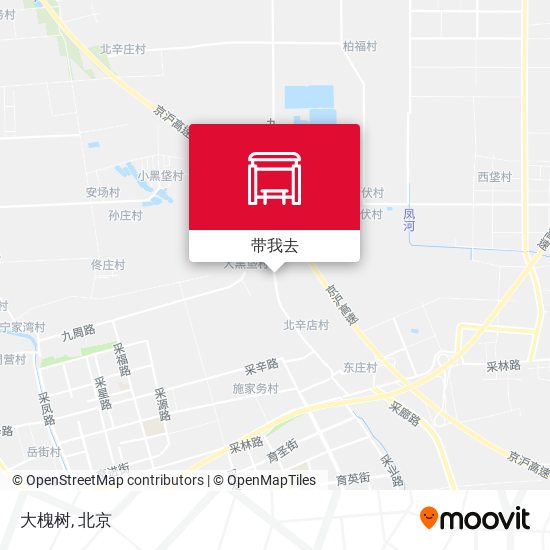 大槐树地图