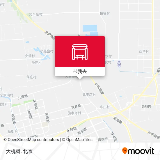 大槐树地图