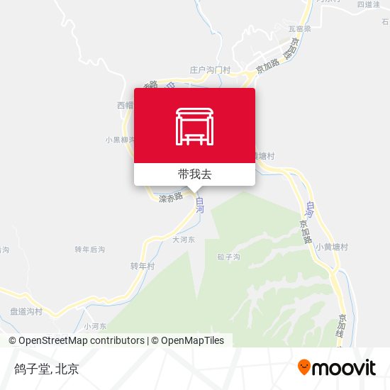 鸽子堂地图