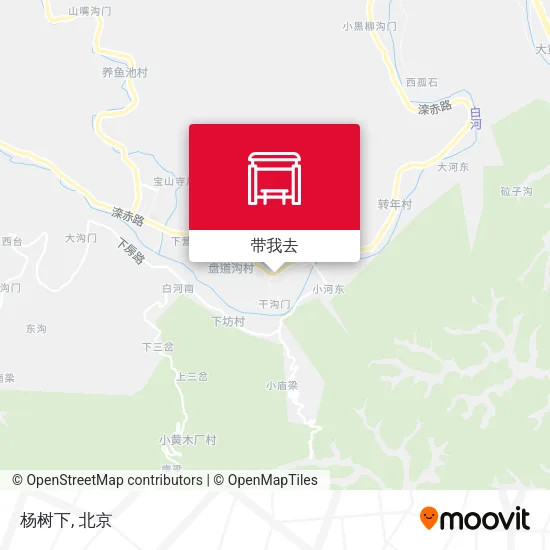 杨树下地图