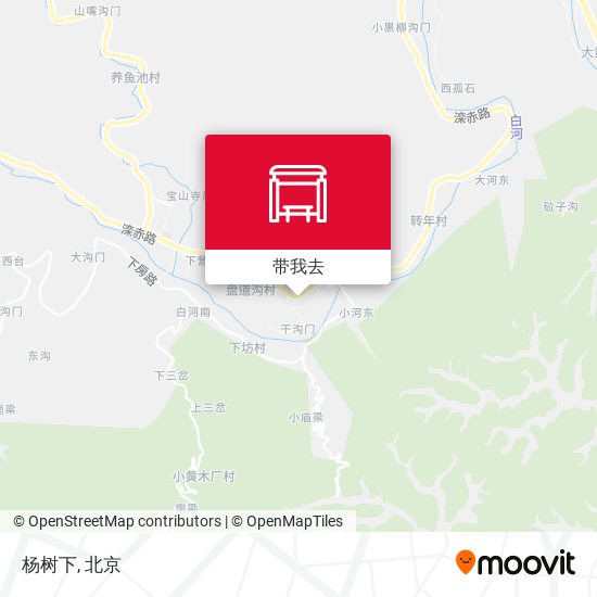 杨树下地图