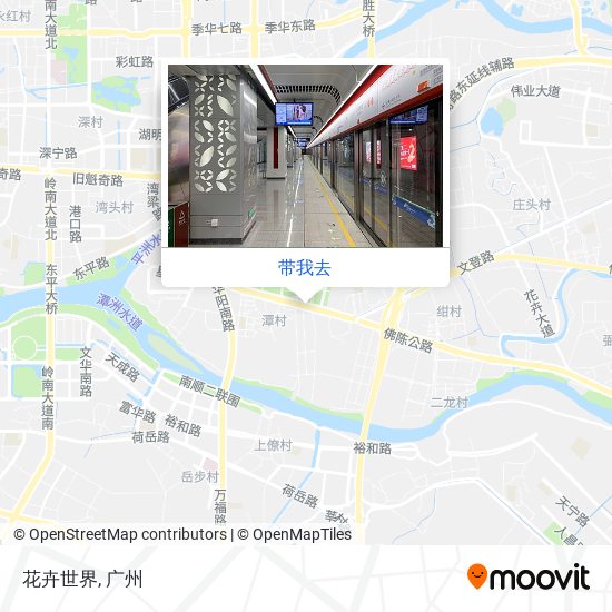 花卉世界地图