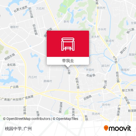 桃园中学地图