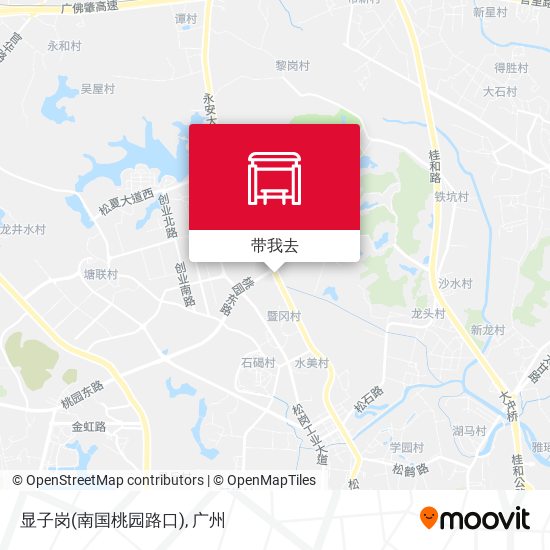 显子岗(南国桃园路口)地图
