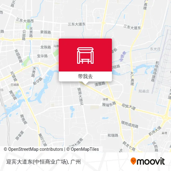 迎宾大道东(中恒商业广场)地图