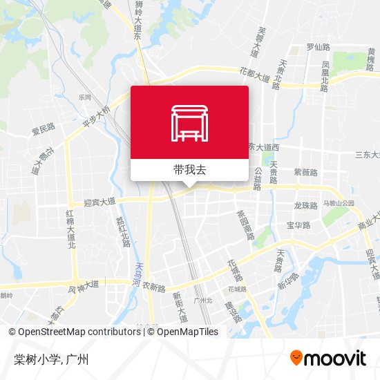 棠树小学地图