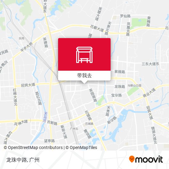 龙珠中路地图