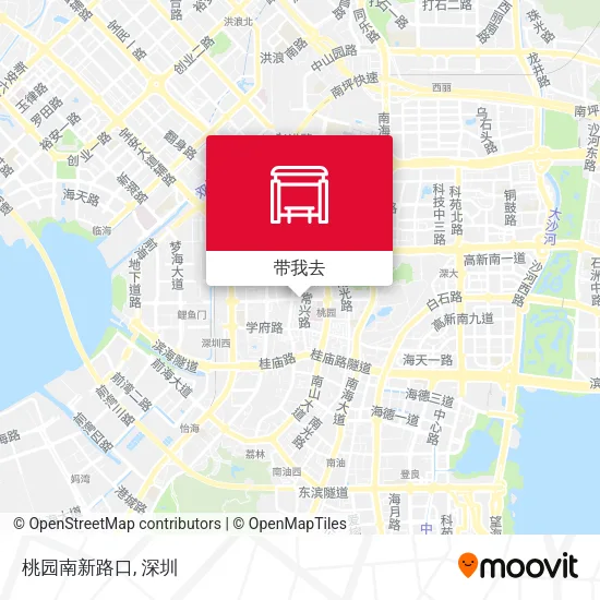 桃园南新路口地图