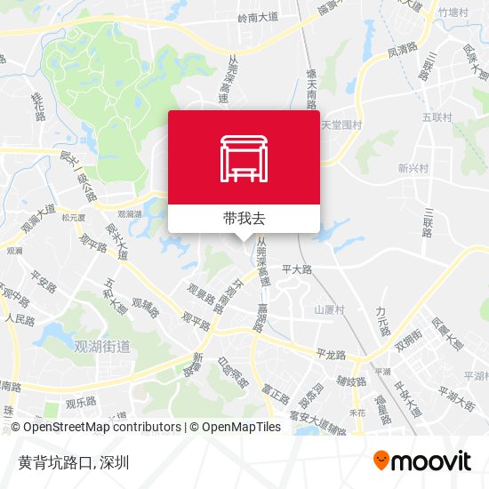 黄背坑路口地图