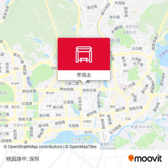 桃园路中地图