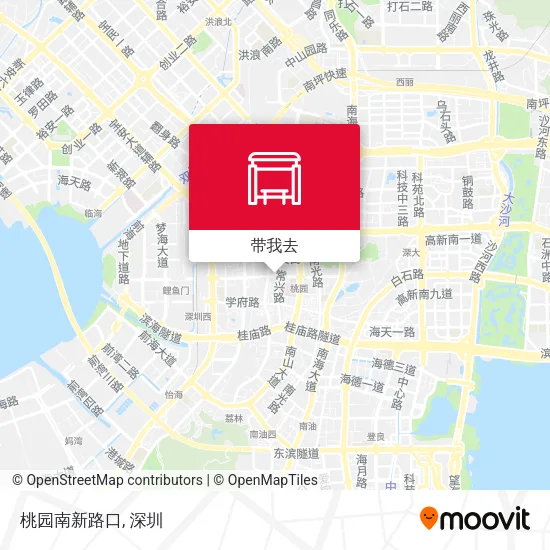 桃园南新路口地图
