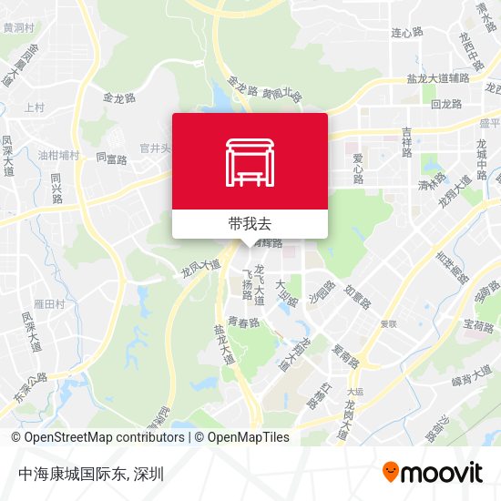 中海康城国际东地图