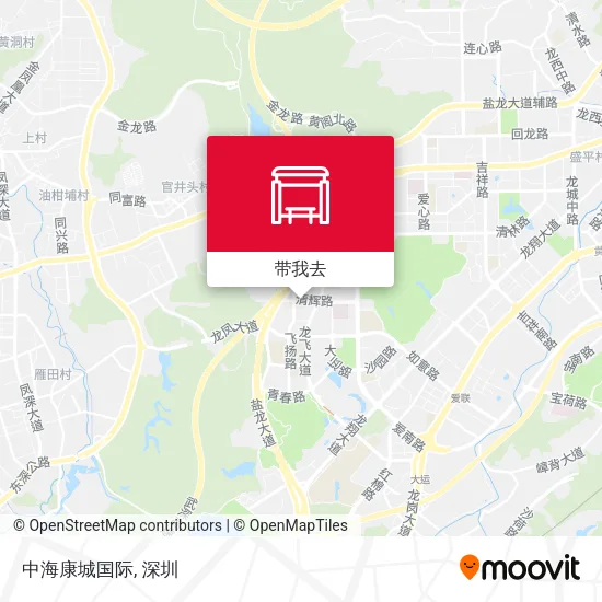 中海康城国际地图