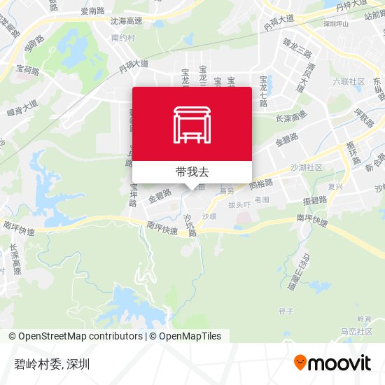 碧岭村委地图