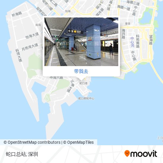 蛇口总站地图