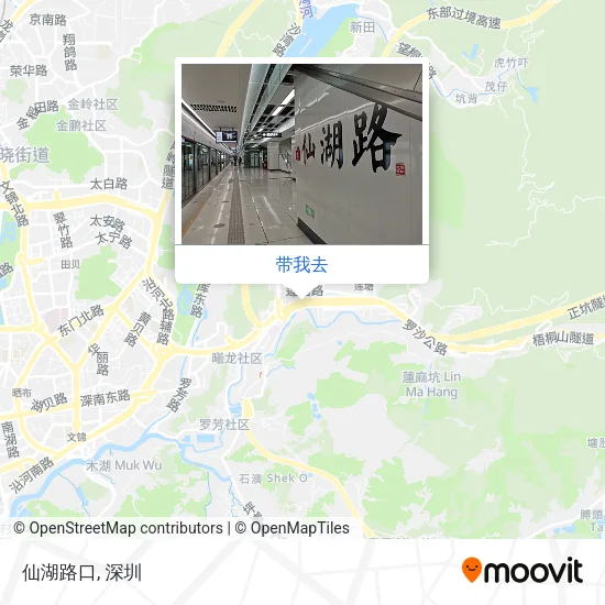 仙湖路口地图