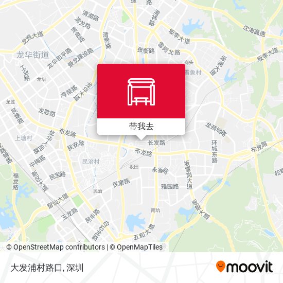 大发浦村路口地图