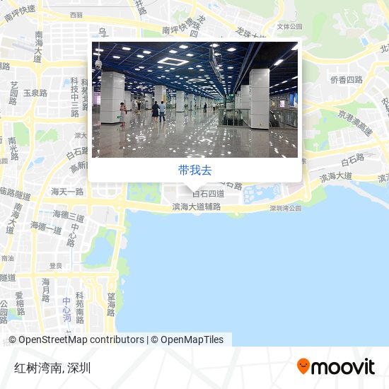 红树湾南地图
