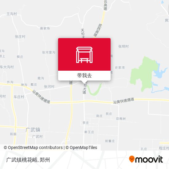 广武镇桃花峪地图
