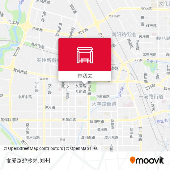 友爱路碧沙岗地图