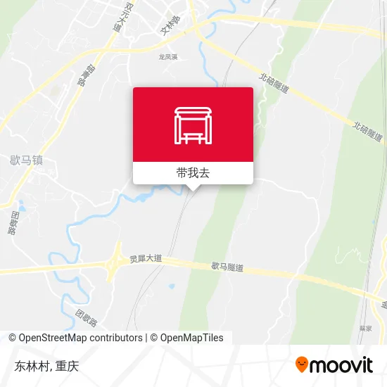 东林村地图