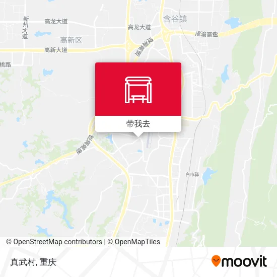 真武村地图