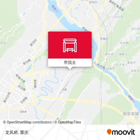 龙凤桥地图