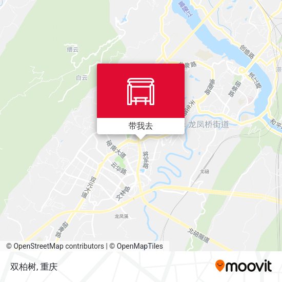 双柏树地图