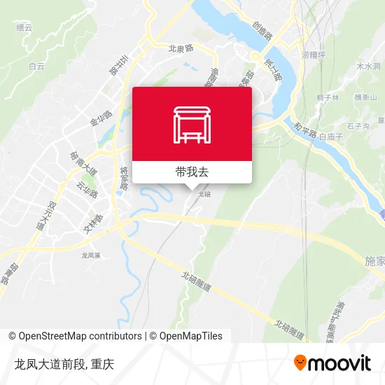 龙凤大道前段地图