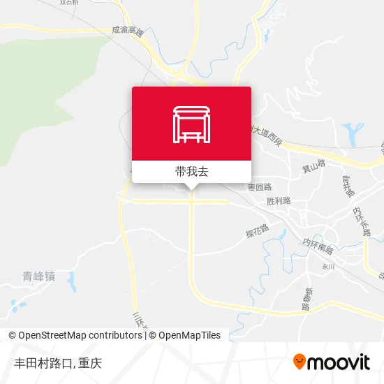 丰田村路口地图