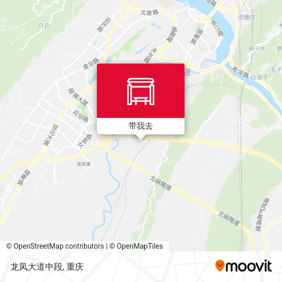 龙凤大道中段地图
