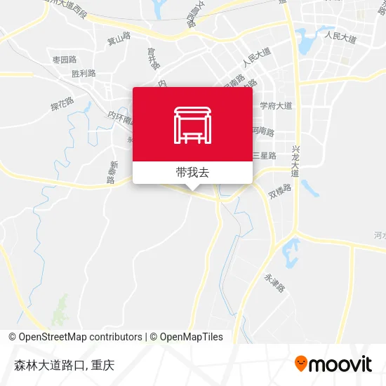 森林大道路口地图
