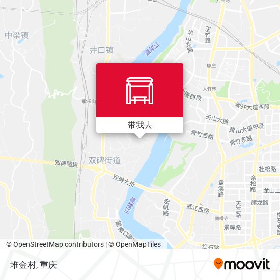 堆金村地图