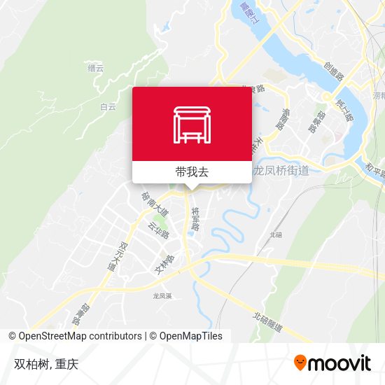 双柏树地图