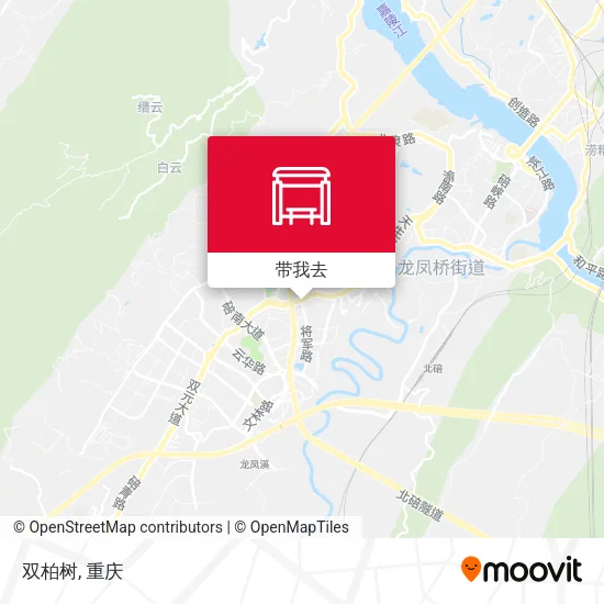 双柏树地图